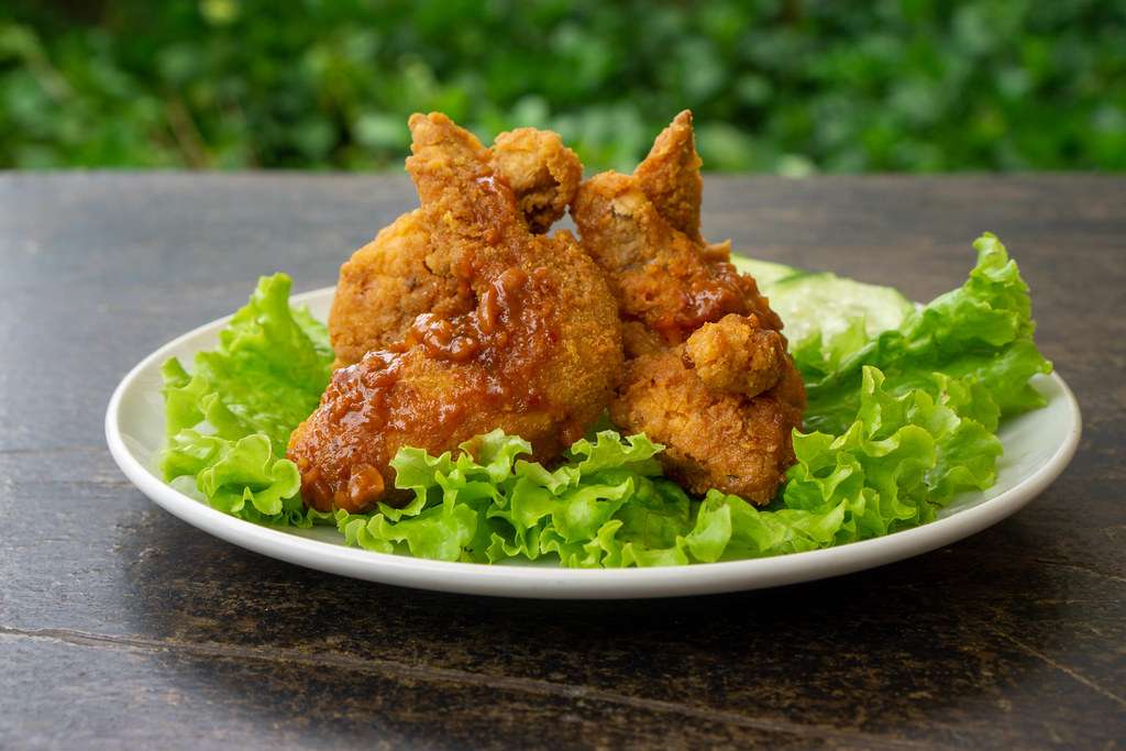 chicken fryer

chicken fries in air fryer