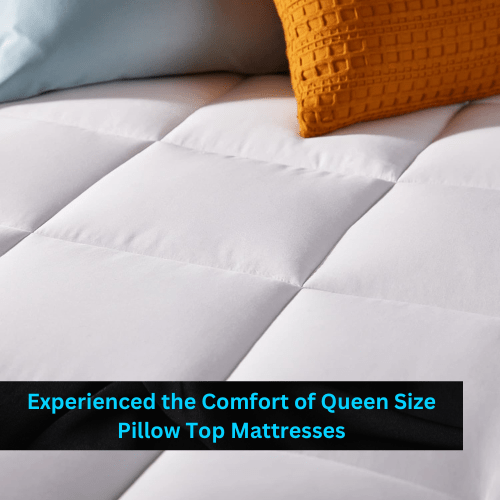 queen pillow top mattress
queen size pillow top mattress
pillow top queen mattress