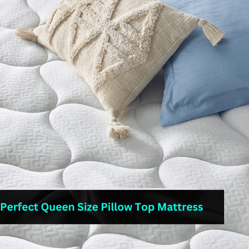 queen pillow top mattress
queen size pillow top mattress
pillow top queen mattress