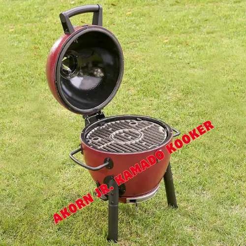 portable charcoal bbq grill
best portable charcoal grill